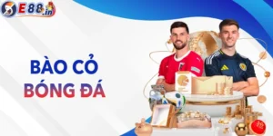 Bào Cỏ Là Gì? Hướng Dẫn Bào Cỏ Hiệu Quả Cho Người Mới